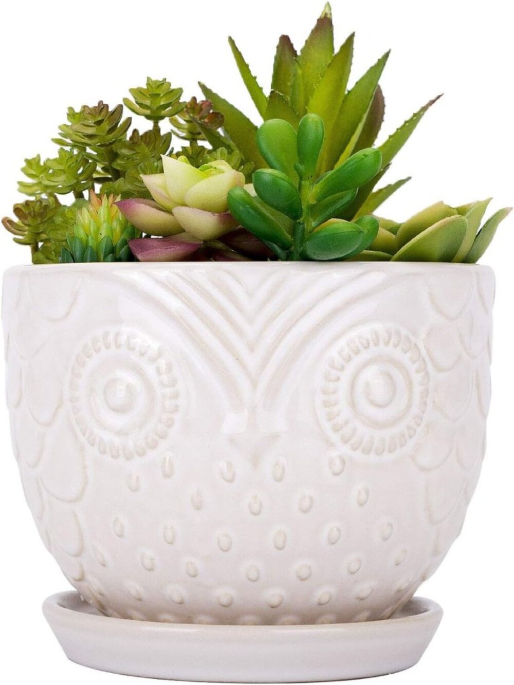 Charming 6.5" White Owl Ceramic Planter Pot with Saucer for Succulents & Medium